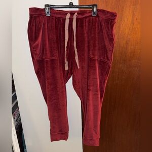Super soft maroon velour pants